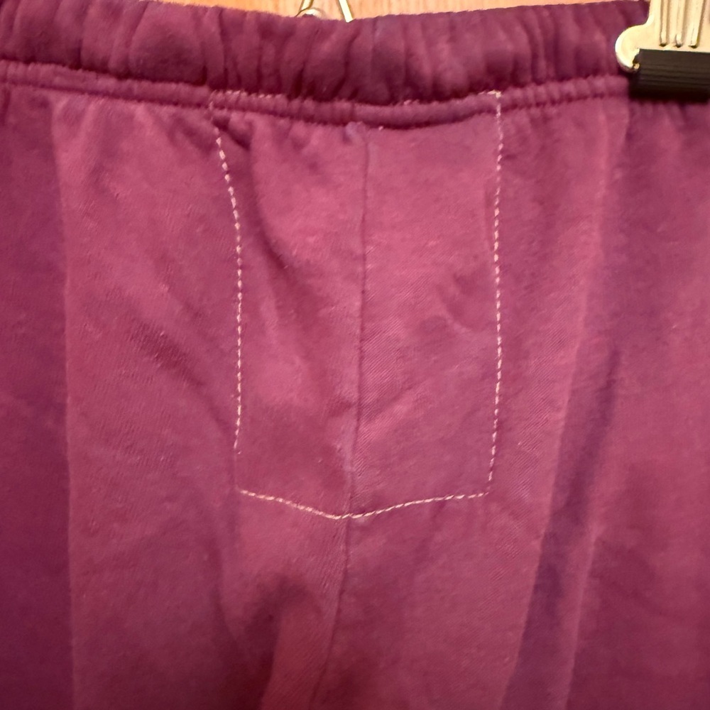 Aviator Nation Volt Sweatpants - Picture 10 of 15